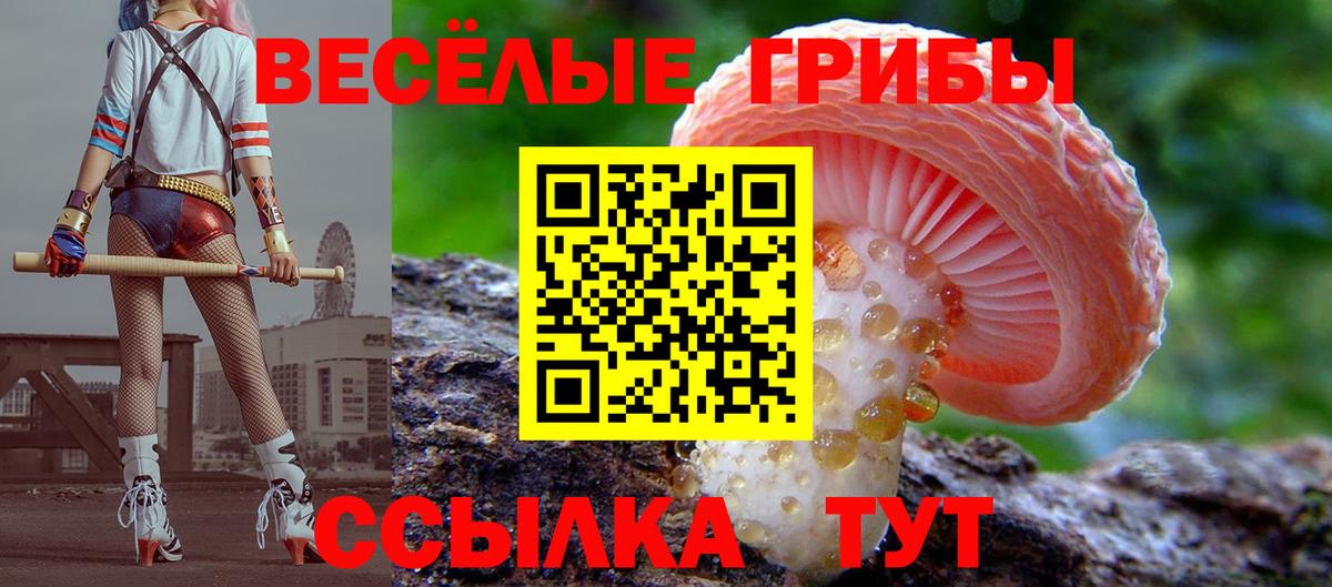 как найти   Галлюциногенные грибы Psilocybe  Вход с VPN  Каспийск 